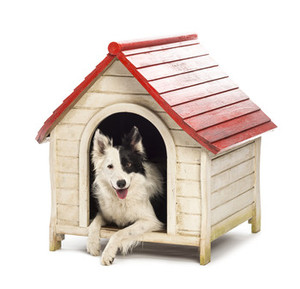 Vybíráme ideální boudu pro psa