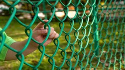 Hlavní zásady při stavbě pletivového plotu
